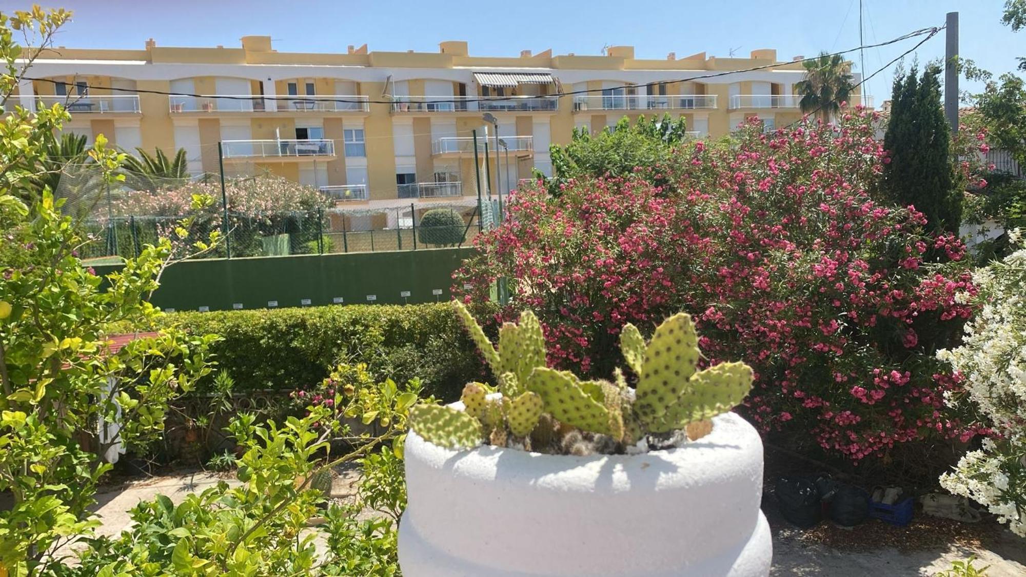 Chalet Denia Playa Primera Linea Villa ภายนอก รูปภาพ